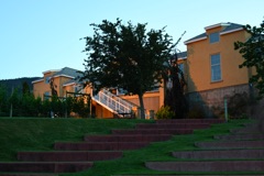 500_7954.JPG