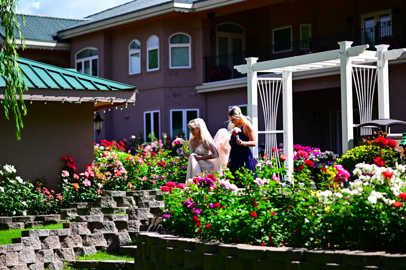 NZ6_1417.JPG