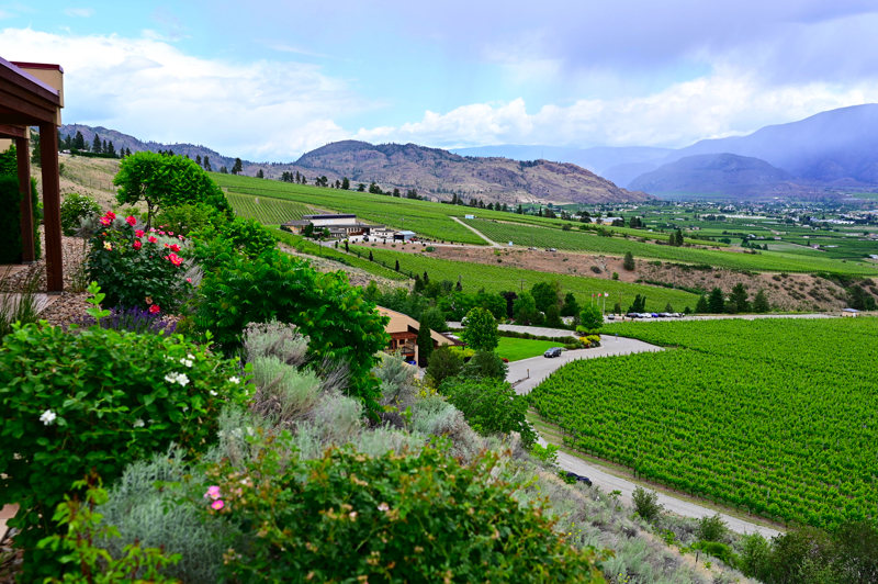NZ6_1526.JPG