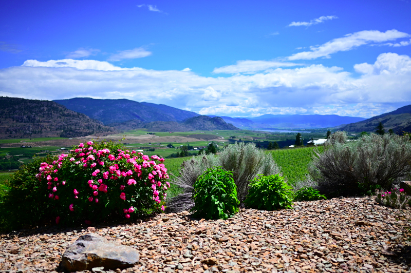 NZ6_1557.JPG