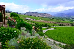 NZ6_1526.JPG