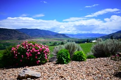 NZ6_1557.JPG