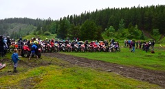 NZ6_2547.JPG