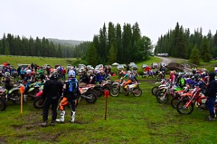 NZ6_2551.JPG