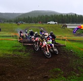 NZ6_2689.JPG