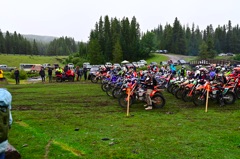 NZ6_2563.JPG