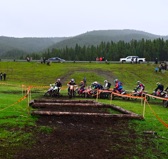 NZ6_2586.JPG