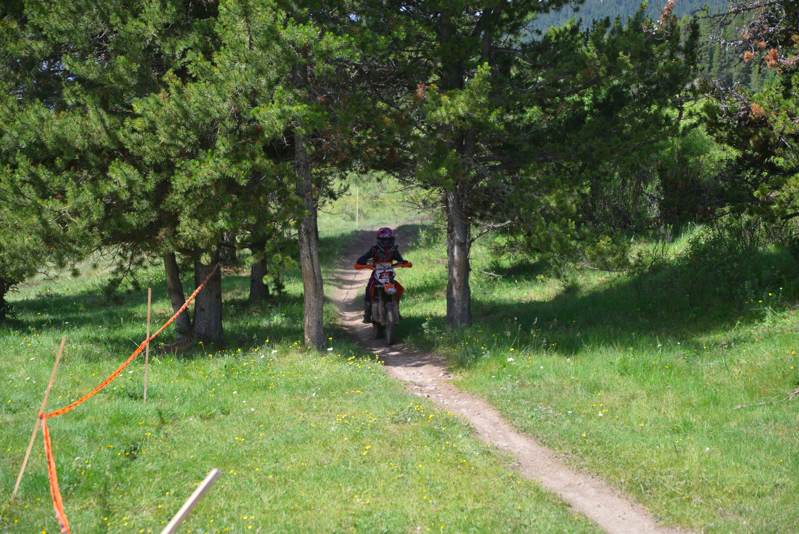 600_0769.JPG