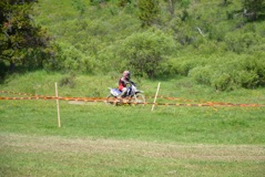 600_0875.JPG