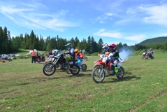 600_0665.JPG