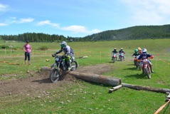 600_0673.JPG