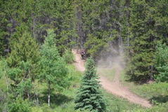 600_0763.JPG