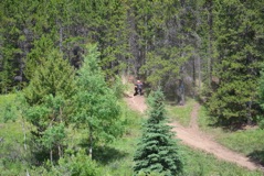 600_0766.JPG