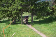 600_0769.JPG