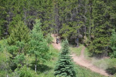 600_0783.JPG
