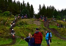 NZ6_2959.JPG