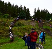 NZ6_2960.JPG