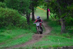 600_1437.JPG
