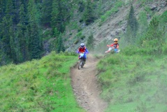 600_1519.JPG