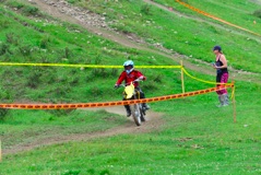 600_1537.JPG