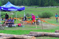 600_1703.JPG
