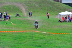 600_1355.JPG