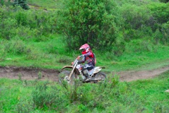 600_1385.JPG