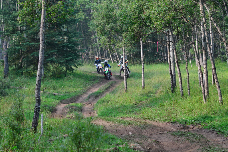500_0458.JPG