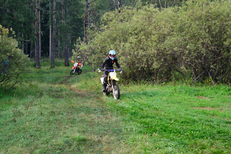 500_0174.JPG