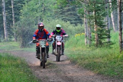 500_0425.JPG