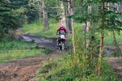 500_0429.JPG