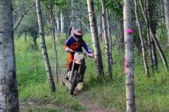 500_0483.JPG