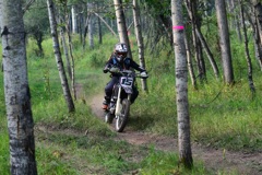 500_0501.JPG
