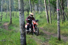 500_0503.JPG