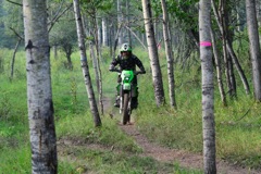 500_0516.JPG