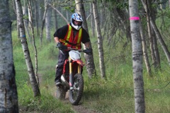 500_0520.JPG