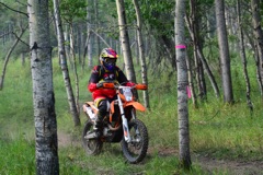 500_0521.JPG