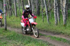 500_0528.JPG