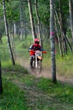500_0561.JPG