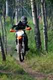 500_0599.JPG