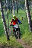 500_0607.JPG