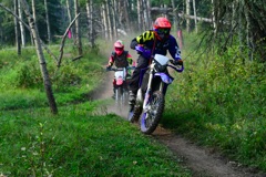 500_0620.JPG
