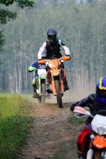 500_0663.JPG