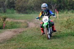 500_0181.JPG