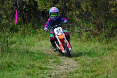 500_0723.JPG
