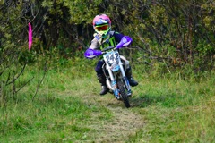 500_0730.JPG