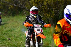 500_0735.JPG