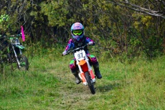 500_0753.JPG