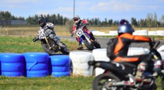 600_5966.JPG