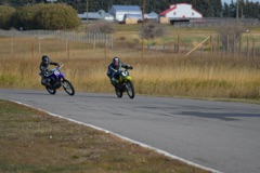 500_2521.JPG